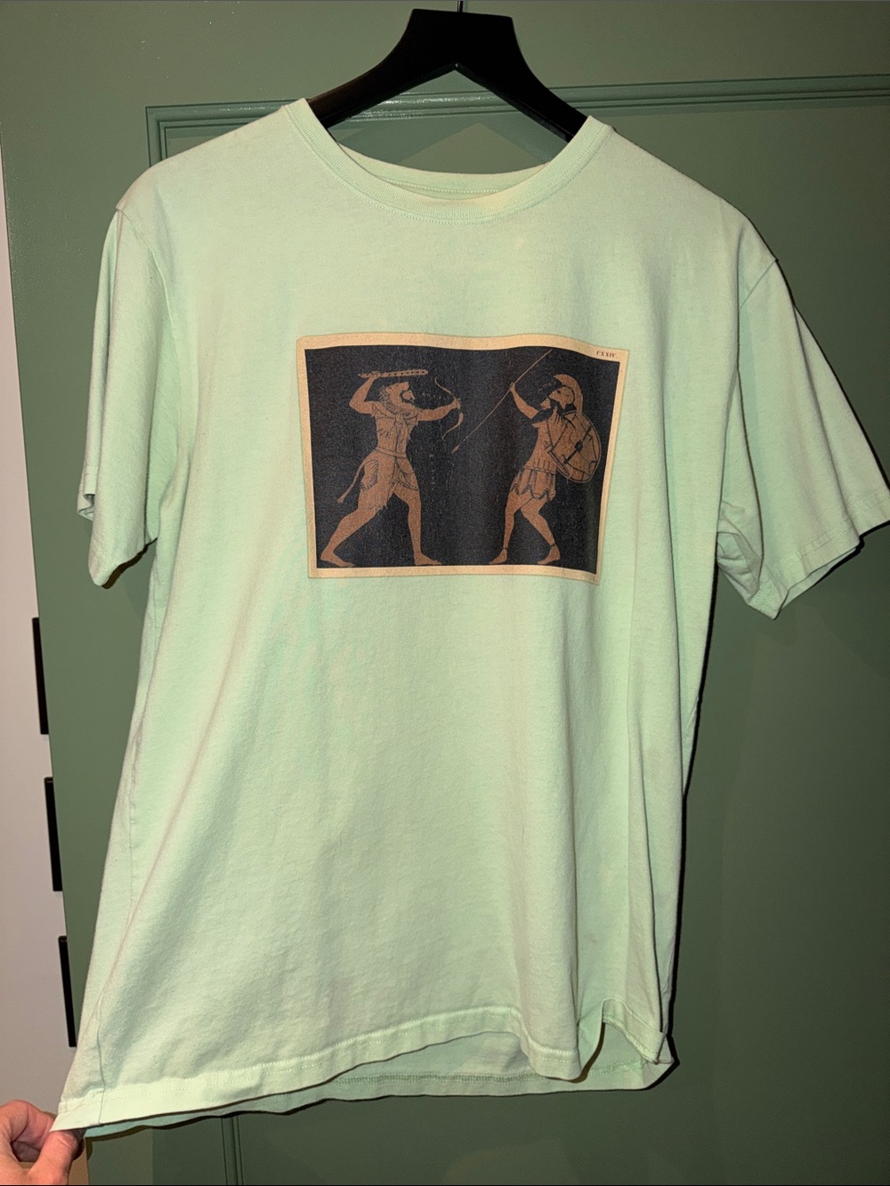 Rowing Blazers Mint Green Short-Sleeve Tee with Ancient Warriors Print